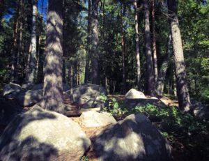 Ultralöpare tränar trail